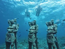 BOUGHT - Honeymoon snorkelling trip