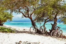 Honeymoon bicycle hire 
